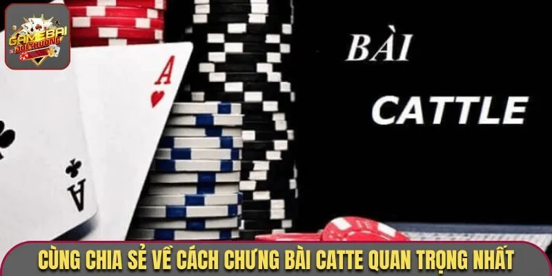 Cách Chưng Bài Catte - Top 5 Mẹo Luôn Thắng, Hiệu Quả Nhất 1 Cùng chia sẻ về cách Chưng bài Catte quan trọng nhất