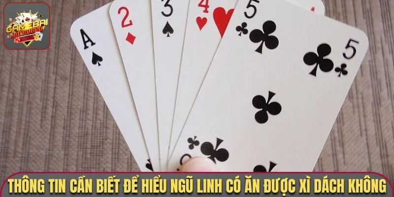 Thông tin cần biết để hiểu ngũ linh có ăn được xì dách không